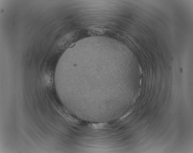 X0000067390134200604211643