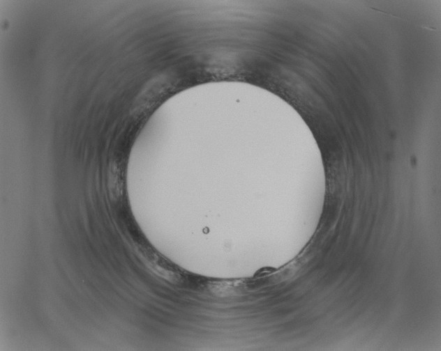 X0000067390136200604211643