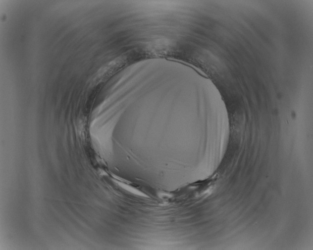 X0000067390139200604211643