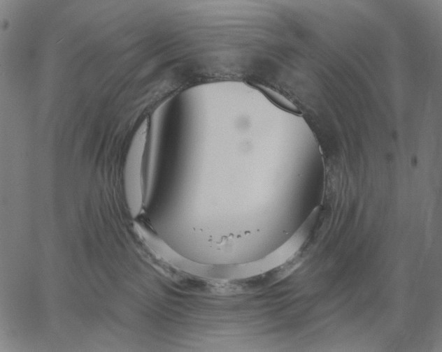 X0000067390141200604211643