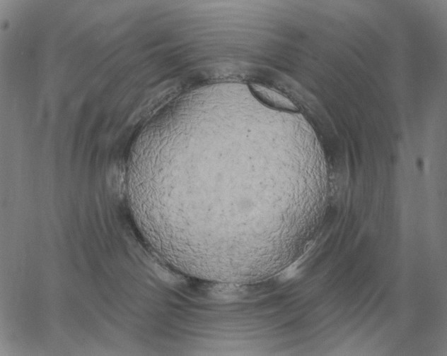 X0000067390142200604211643