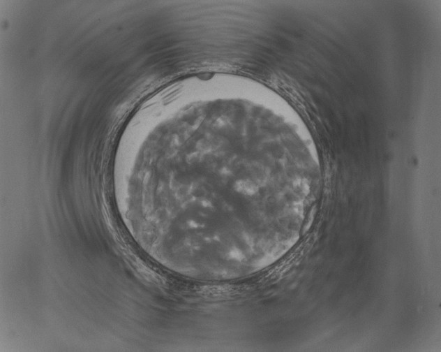 X0000067390145200604211642