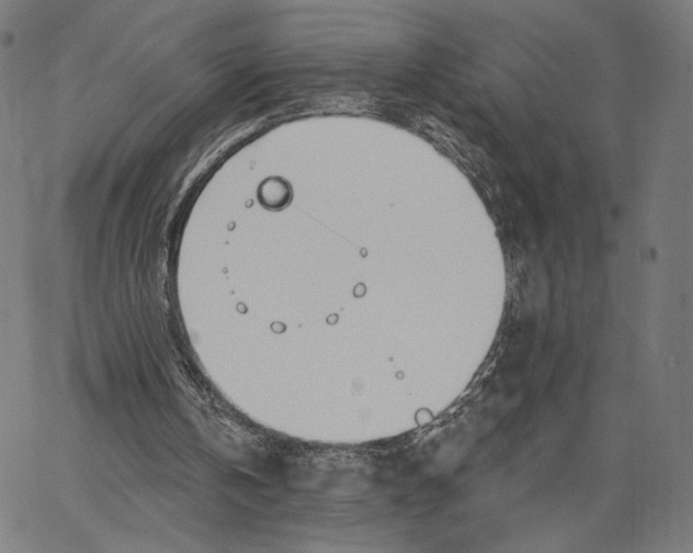 X0000067390146200604211642