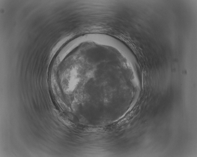 X0000067390147200604211642