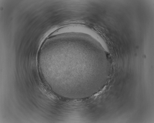 X0000067390148200604211642