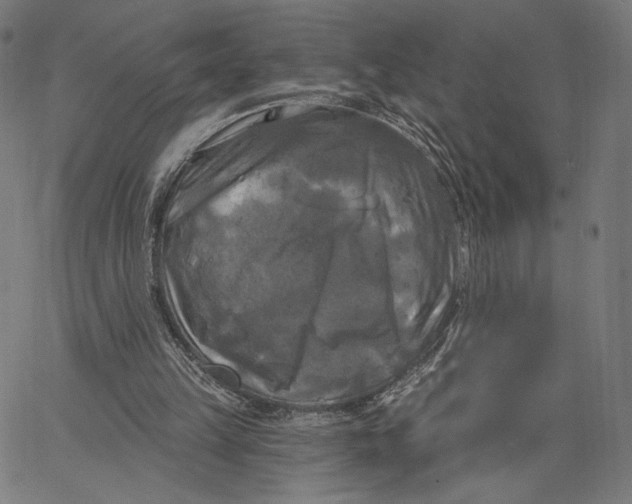 X0000067390149200604211642