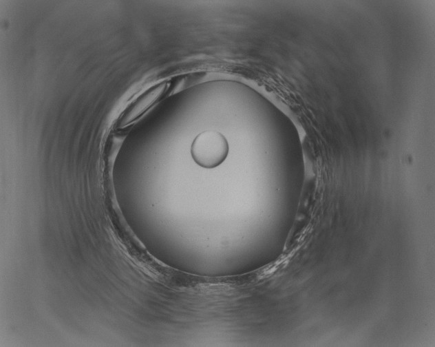 X0000067390150200604211642