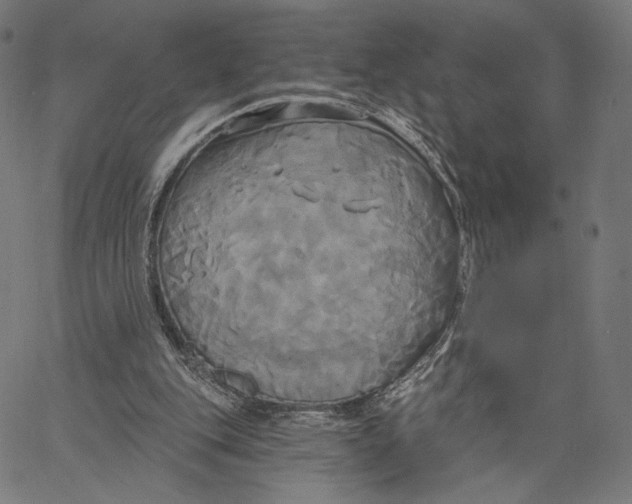 X0000067390151200604211642