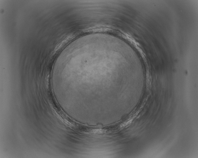 X0000067390153200604211642