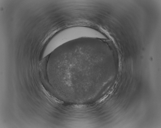 X0000067390154200604211642