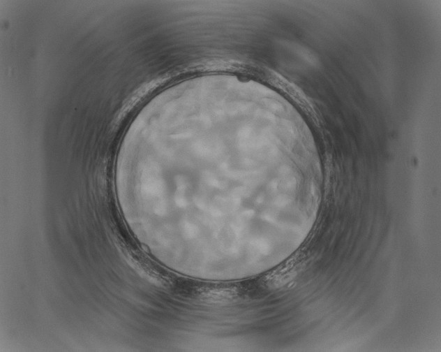 X0000067390155200604211642