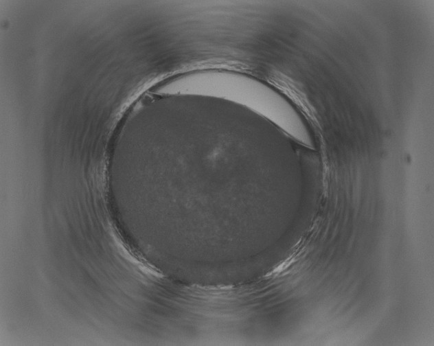 X0000067390156200604211642