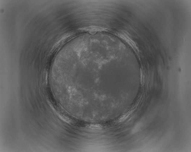 X0000067390157200604211642