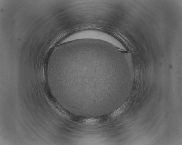 X0000067390158200604211642