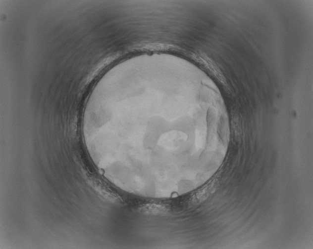 X0000067390159200604211642