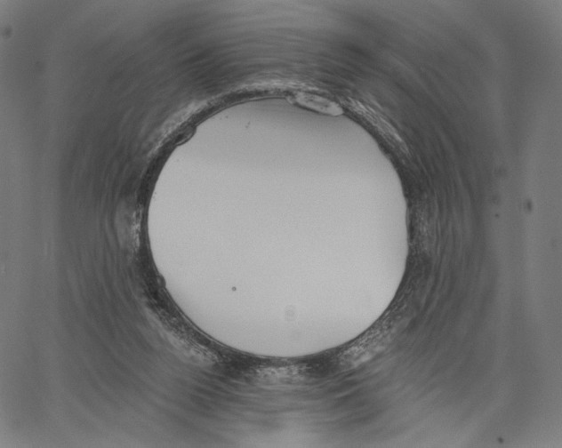 X0000067390160200604211642