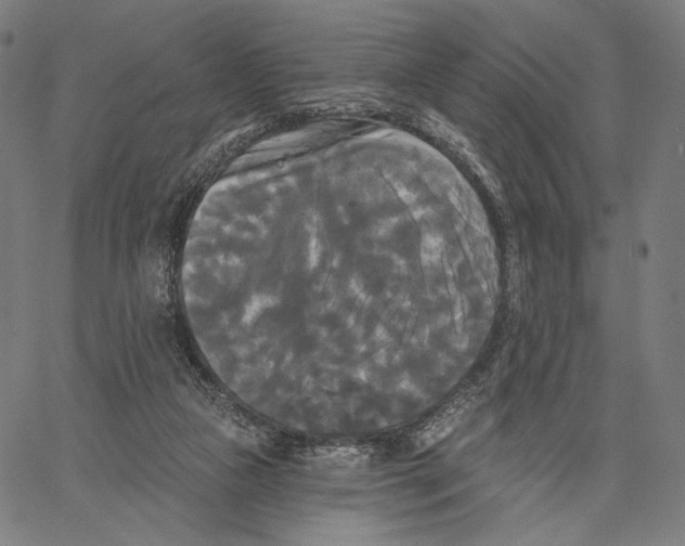 X0000067390161200604211642