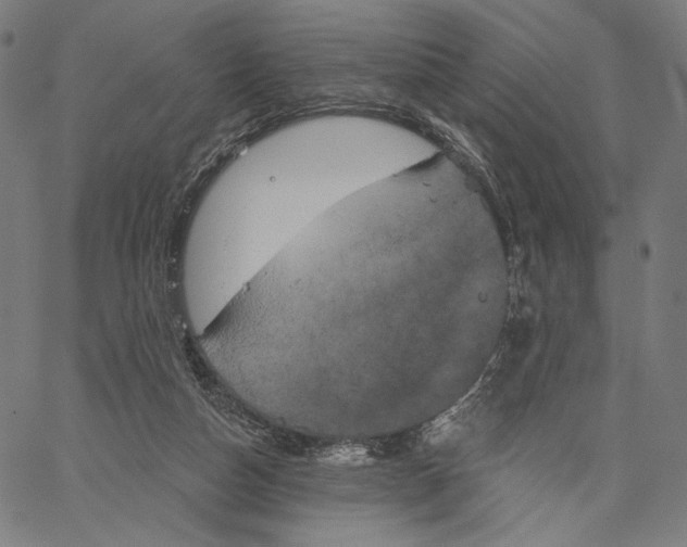 X0000067390162200604211642