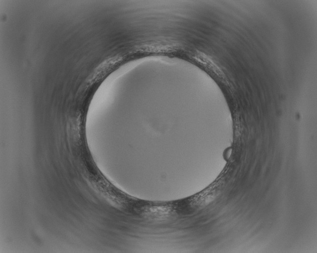 X0000067390163200604211642