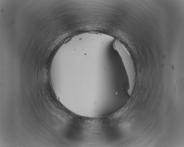 X0000067390164200604211642