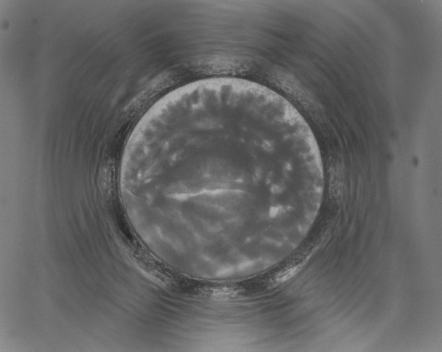 X0000067390165200604211642