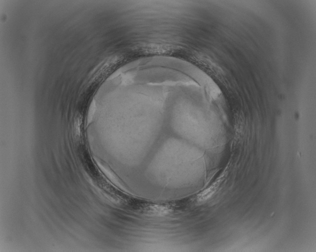 X0000067390166200604211642