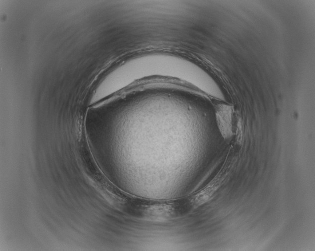 X0000067390168200604211642