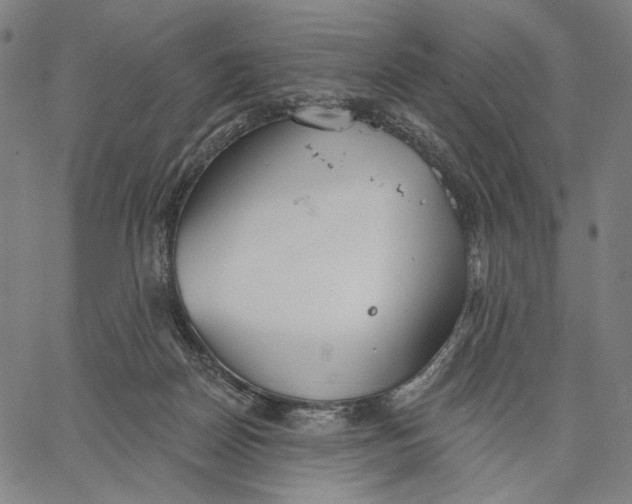 X0000067390170200604211642