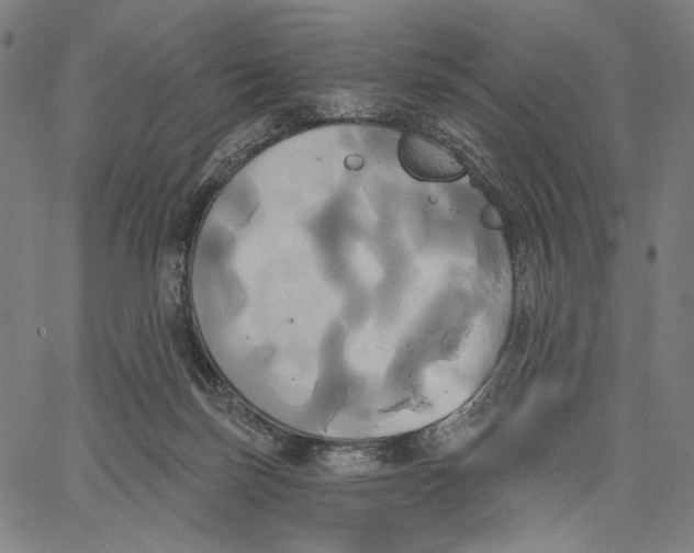 X0000067390171200604211642