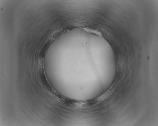 X0000067390172200604211643