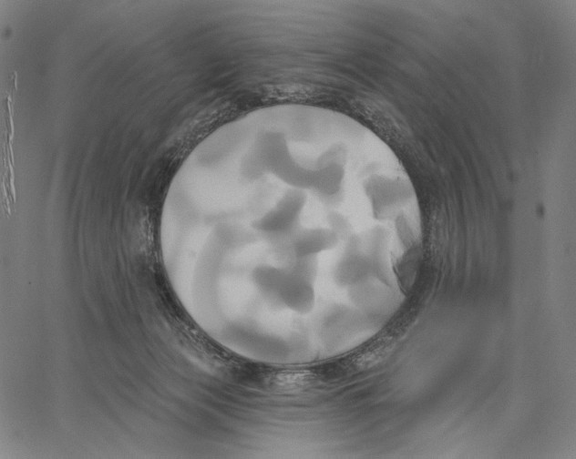 X0000067390173200604211643