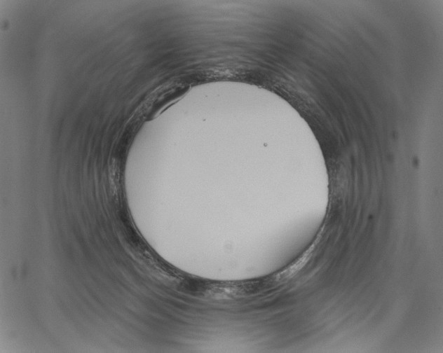 X0000067390174200604211643