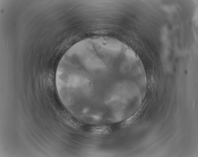 X0000067390175200604211643