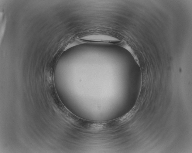 X0000067390176200604211643