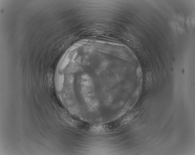 X0000067390177200604211643