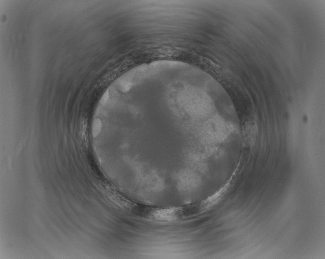 X0000067390178200604211643