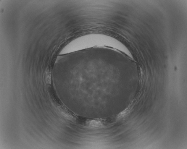 X0000067390180200604211643