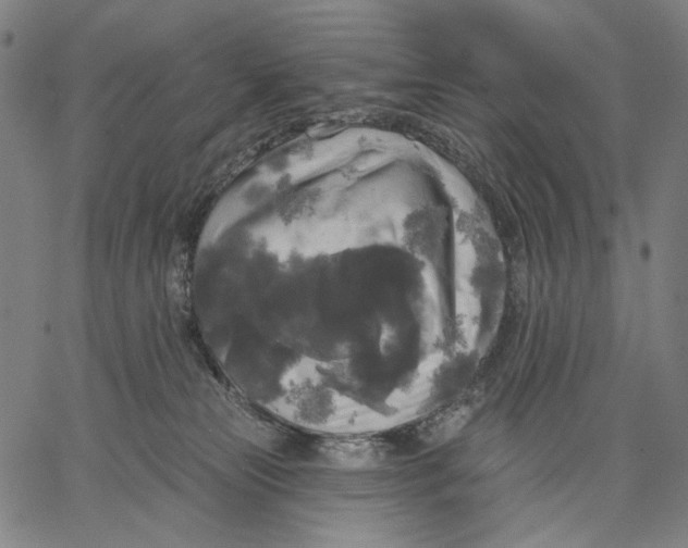 X0000067390181200604211643