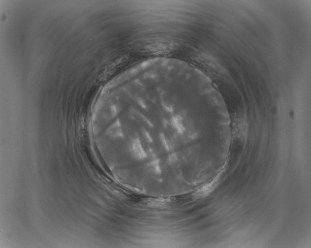 X0000067390182200604211643