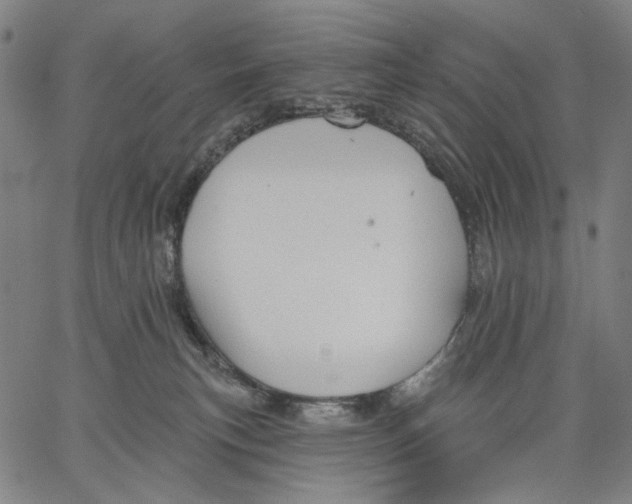 X0000067390183200604211643