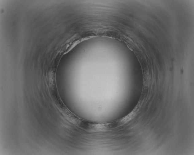 X0000067390184200604211643