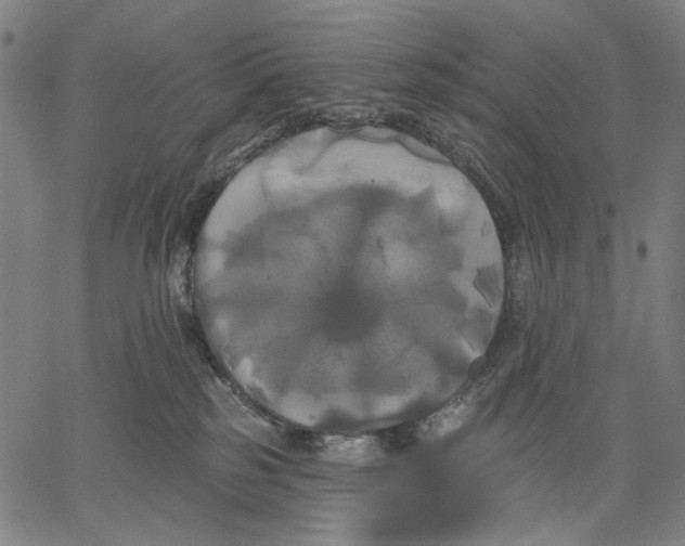 X0000067390185200604211643