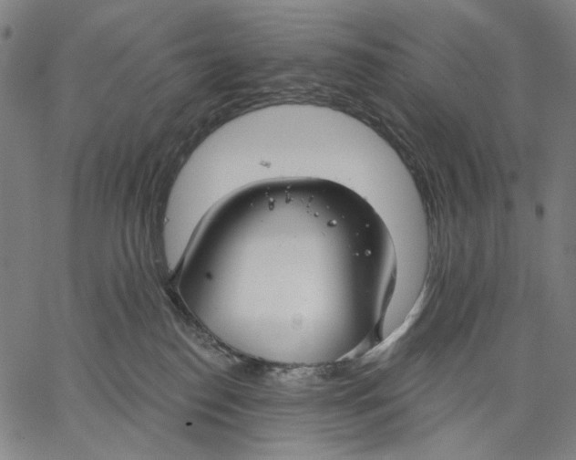 X0000067390186200604211643