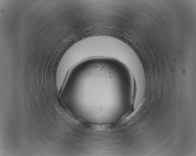 X0000067390187200604211643