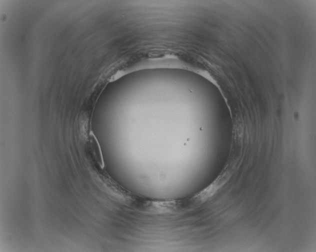 X0000067390188200604211643