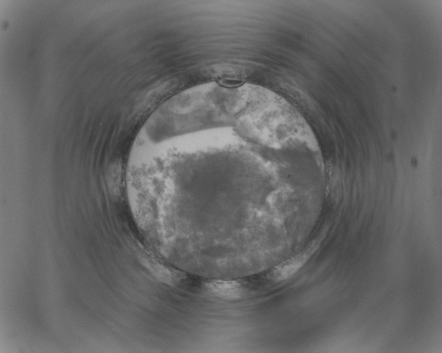 X0000067390189200604211643