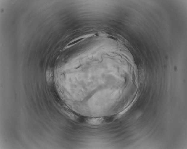 X0000067390191200604211643