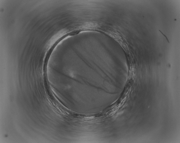 X0000067390196200604211642