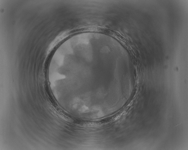 X0000067390198200604211642