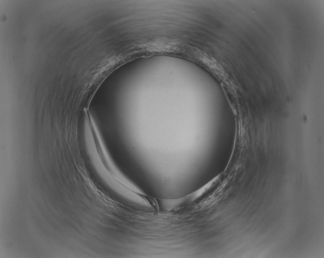 X0000067390201200604211642